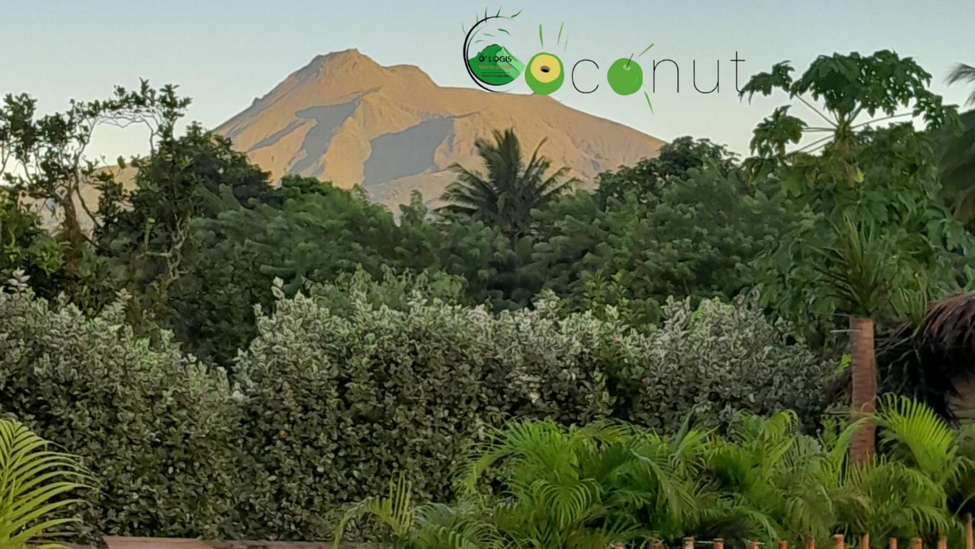 Apartament O Logis Du Morne Jacob "Coco", Le Morne-Rouge Martinique Zewnętrze zdjęcie
